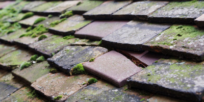 Pen Yr Hoel roof repair costs